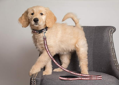 Pets First Collegiate Pet Accessories, Dog Leash, South Carolina Gamecocks, Large