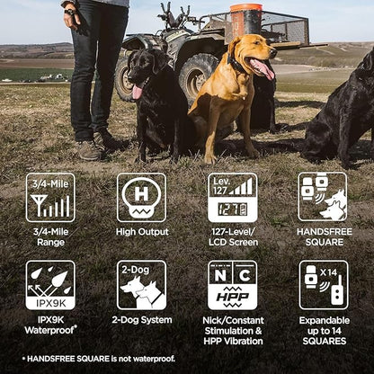 Dogtra 1902S HANDSFREE PLUS Boost and Lock, Remote Dog Training E-Collar, HANDSFREE SQUARE, 3/4-Mile Range, Rechargeable, Waterproof, High-Output, 2 Dog System, eCollar for Medium, Large Dogs