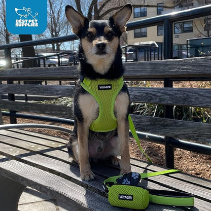 Voyager Step-in Lock Dog Harness w Reflective Dog Leash Combo Set with Neoprene Handle 5ft - Supports Small, Medium and Large Breed Puppies/Cats by Best Pet Supplies - Royal Blue, S
