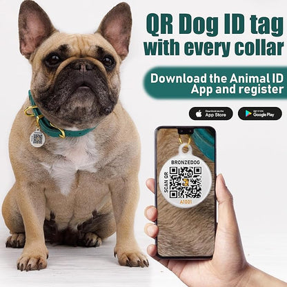 BRONZEDOG Leather Dog Collar with QR ID Tag Basic Pet Collars for Small Mini Dogs Cats Puppies (7-9 Inch (Pack of 1), Black & Gold Buckle)