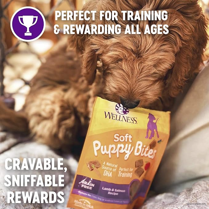 Wellness Soft Puppy Bites Healthy Grain-Free Treats for Training, Dog Treats with Real Meat and DHA, No Artificial Flavors (Lamb & Salmon, 8-Ounce Bag)