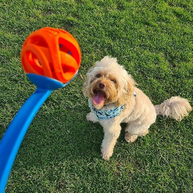 Chuckit Air Fetch Ball Dog Toy, Medium (2.5 Inch Diameter), for dogs 20-60 lbs
