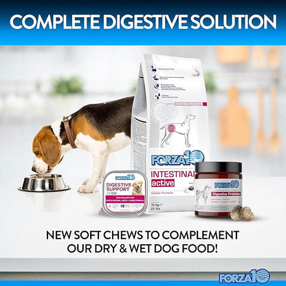 Forza10 Dog Probiotics and Digestive Enzymes Chews Supplements, Duck Flavor Probiotics for Dogs Digestive Health and Gut, Pet Probiotics for Dogs with Diarrhea, Dog Gas Relief, Upset Stomach, 90 Ct.