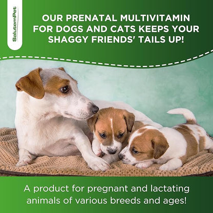 Dog Prenatal Vitamins | Pregnant Cat Supplies | Prenatal Vitamins for Dogs | Product for Pregnant Cat | Prenatal Dog Vitamins | Vitamins for Pregnant Dogs and Cats | Pregnant Dog Supplies | 2 oz