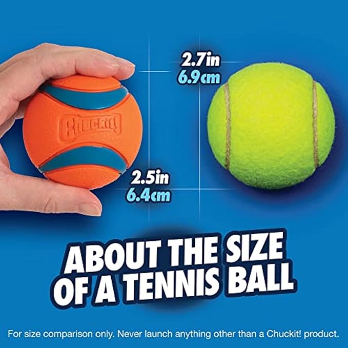 Chuckit Ultra Ball Dog Toy, Medium (2.5" Diameter), Pack of 8 with Chuckit Cleaning Bucket