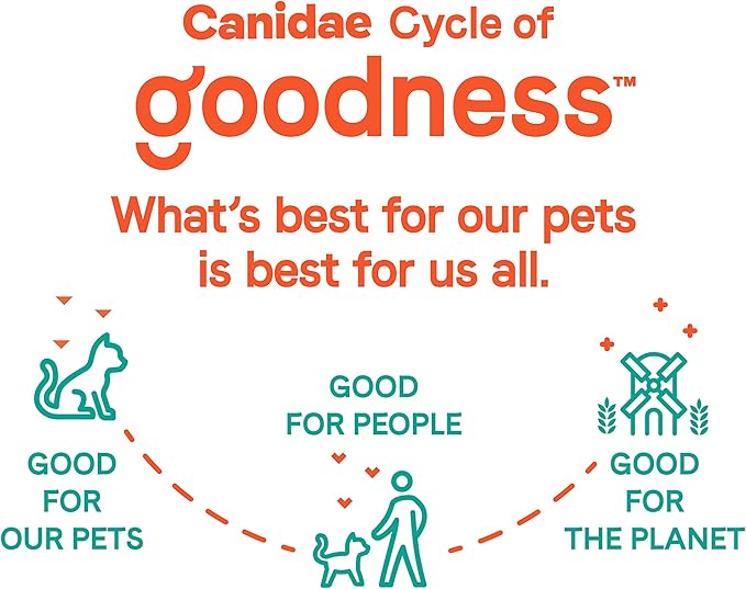 Canidae Goodness for Digestion, Premium Adult Dry Cat Food with Real Chicken, 5 lbs.