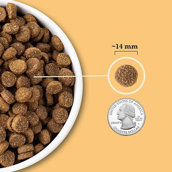 ACANA Wholesome Grains Dry Dog Food, Free-Run Poultry, Real Chicken & Turkey and Eggs Dog Food Recipe, 4lb