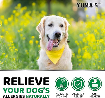 YUMA'S Dog Allergy Relief Chews - Dog Itching Skin Relief Treatment Pills - 170 Treats - Anti-Itch for Dogs - Itchy and Paw Licking - Dry Skin & Hot Spots - Omega 3 Fish Oil - Skin & Coat Supplement