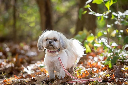 Pets First Collegiate Pet Accessories, Dog Leash, Alabama Crimson Tide, Small