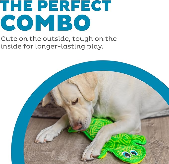 Outward Hound Durablez Tough Plush Squeaky Dog Toy, Gecko, Green, Large