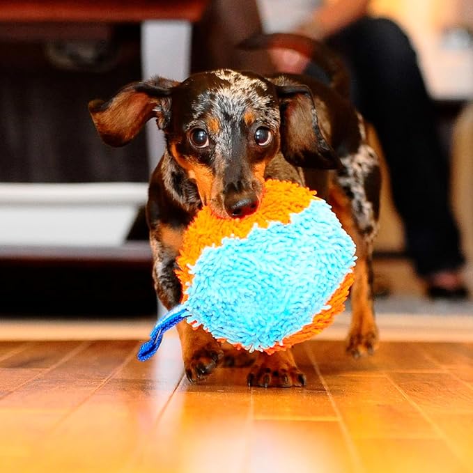 Chuckit Indoor Fetch Shaker Dog Toy (7.5 Inch), Orange and Blue