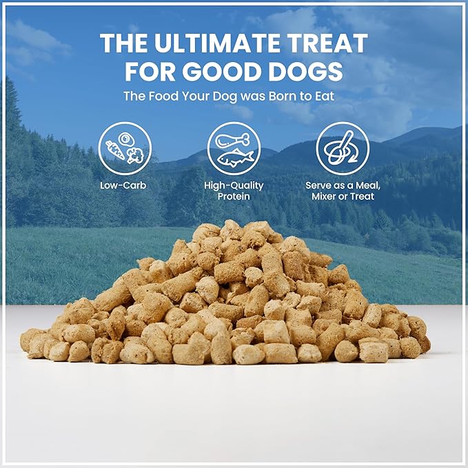 Muenster Freeze Dried Dog Food Topper Bites (5oz) - Farmhaus Chicken Freeze Dried Raw Dog Food w/Organic Minerals - Chicken & Organ Meats Soft Dry Dog Food - Freeze Dried Dog Treats