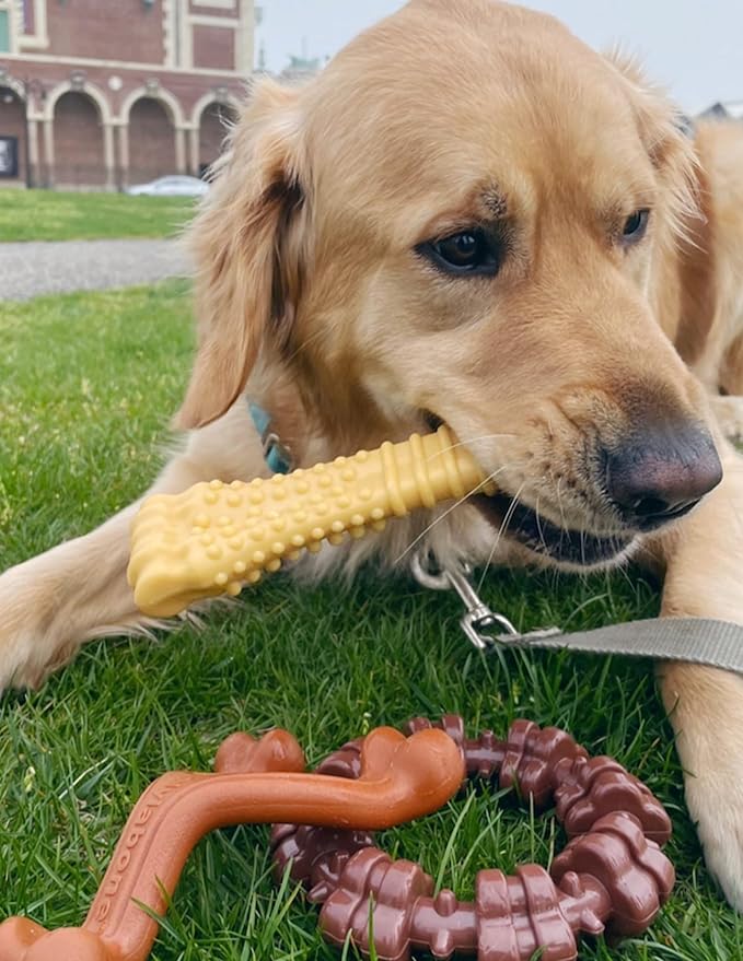 Nylabone Power Chew Toys Customer Favorites Bundle - Dog Toys for Aggressive Chewers, Indestructible Dog Toys for Large Dogs in 3 Shapes and Flavors - Flavor Medley, Large upto 50lbs (3 Count)