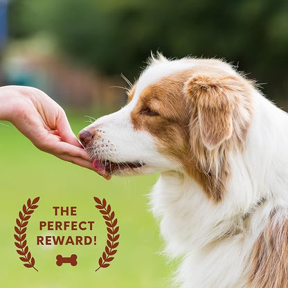Turkey Jerky Dog Treats 15 Oz Real Turkey Jerky Chews Healthy Dog Treats - Natural Dog Treats Ideal for Training & Snacking - A Must-Have Soft Dog Treats for Small Dogs & Large Dogs!
