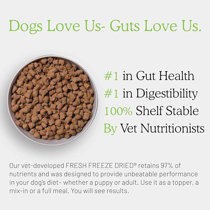Gut Health Fresh Freeze Dried Raw Meal, Beef Recipe, 16 Ounce Bag, Dog Food for Dogs of All Breeds and Life Stages, USDA Beef, Made in USA