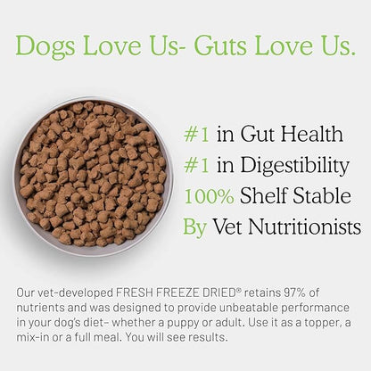 Gut Health Fresh Freeze Dried Raw Meal, Beef Recipe, 16 Ounce Bag, Dog Food for Dogs of All Breeds and Life Stages, USDA Beef, Made in USA