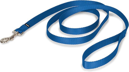 PetSafe Nylon Dog Leash - Strong, Durable, Traditional Style Leash with Easy to Use Bolt Snap - 3/4 in. x 6 ft., Royal Blue
