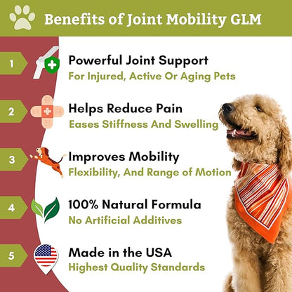 Wholistic Pet Organics Run Free: Dog Joint Health Supplement Glucosamine and Chondroitin Supplement Large Dog and Cats Arthritis Pain Relief with MSM for Mobility and Immune Support