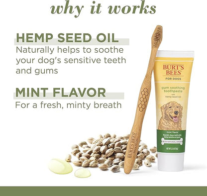 Burt's Bees for Pets Care+ Oral Care Kit, Gum Soothing Dog Toothpaste with Hemp Seed Oil and Bamboo Dog Toothbrush - Dog Tooth Brushing Kit for Dog Dental Care from Burt's Bees