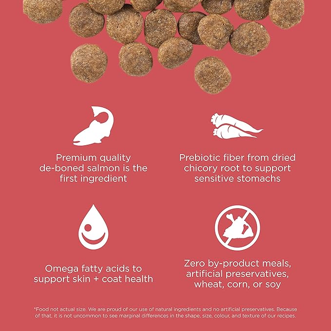 GO! SOLUTIONS Sensitivities – Salmon Recipe – Limited Ingredient Dog Food, 12 lb – Grain Free Dog Food for All Life Stages – Dog Food to Support Sensitive Stomachs