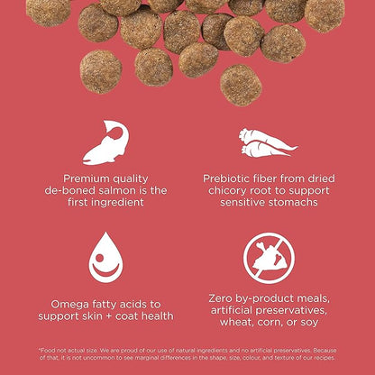 GO! SOLUTIONS Sensitivities – Salmon Recipe – Limited Ingredient Dog Food, 12 lb – Grain Free Dog Food for All Life Stages – Dog Food to Support Sensitive Stomachs