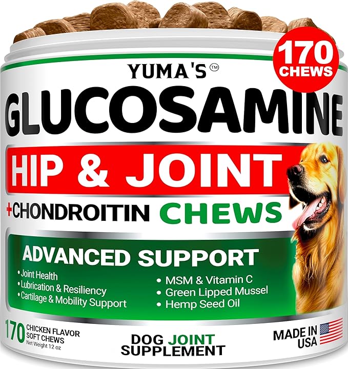 Glucosamine for Dogs - Hip and Joint Supplement for Dogs - 170 Ct - Glucosamine Chondroitin for Dogs Chews - Dog Joint Pain Relief with MSM - Advanced Dog Joint Supplement Health - Mobility Support