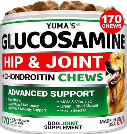 Glucosamine for Dogs - Hip and Joint Supplement for Dogs - 170 Ct - Glucosamine Chondroitin for Dogs Chews - Dog Joint Pain Relief with MSM - Advanced Dog Joint Supplement Health - Mobility Support