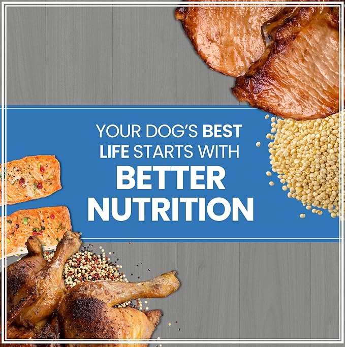 Muenster Ancient Grains Dog Food (4lb) - Chicken & Pork Flavored Dry Dog Food for Large Dogs - Gluten Free, Non-GMO High Protein Dog Food - Healthy Digestive Large Breed Dog Kibble