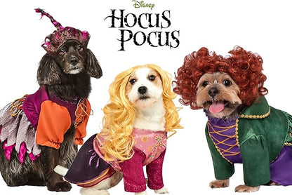 Rubie's Disney Hocus Pocus Winifred Sanderson Pet Costume, Small As Shown