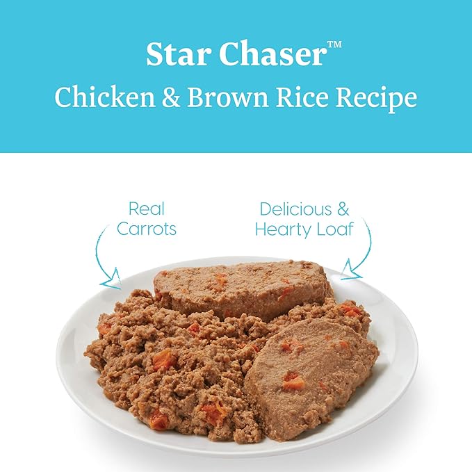 Solid Gold Canned Dog Food for Adult & Senior Dogs - Made with Real Chicken and Whole Grains - Star Chaser High Calorie Wet Dog Food for Healthy Digestion and Immune Support