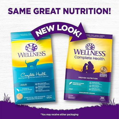 Wellness Complete Health Dry Dog Food with Grains, Natural Ingredients, Made in USA with Real Meat, All Breeds, For Adult Dogs (Whitefish & Sweet Potato, 15-Pound Bag)