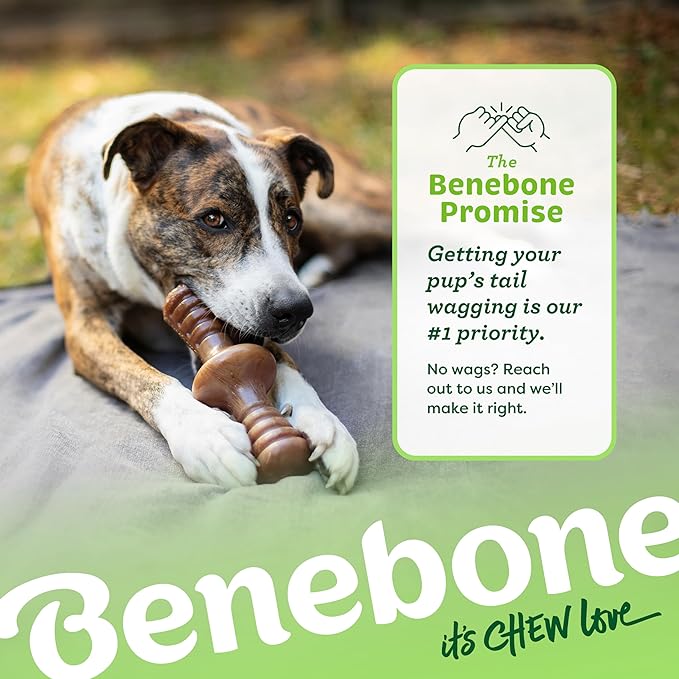 Benebone Zaggler Rolling Dog Chew Toy for Aggressive Chewers, Real Peanut, Made in USA, Small