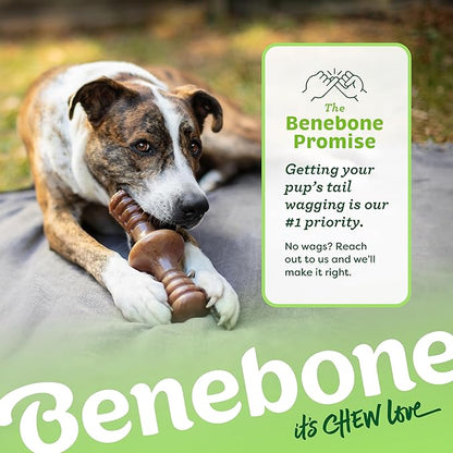 Benebone Zaggler Rolling Dog Chew Toy for Aggressive Chewers, Real Peanut, Made in USA, Small