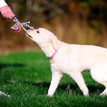 Chuckit Ultra Toss Dog Toy, Medium Indoor and Outdoor Dog Toy for Dogs 20-60 Pounds