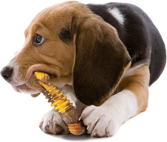 Nylabone Power Chew Flavor Frenzy Dental Bone Chew Toy for Dogs, Indestructible Chew Toys for Aggressive Chewers, Philly Cheesesteak Flavor, Medium/Wolf - Up to 35 lbs. (1 Count)