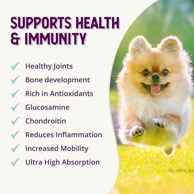 Health Extension Chondroitin with Glucosamine for Dog, Arthritis Pain Relief Vitamin, Joint & Hip Supplement Cheese Flavored Powder, Suitable for All Types of Puppies & Dogs, (16 Oz / 454 g)