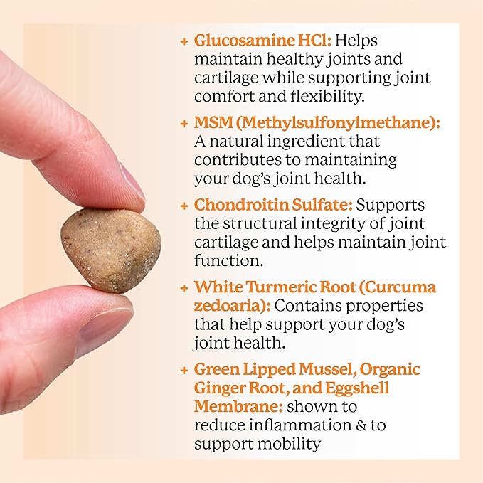Dr. Harvey's Hip & Joint Soft Chews for Dogs, Daily Mobility Supplement Chewable Bites for Dogs with Glucosamine, Chondroitin & MSM, Green Lipped Mussel, Chicken Flavor (90 Chews)