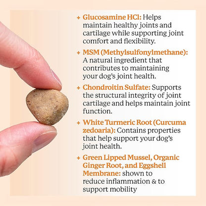 Dr. Harvey's Hip & Joint Soft Chews for Dogs, Daily Mobility Supplement Chewable Bites for Dogs with Glucosamine, Chondroitin & MSM, Green Lipped Mussel, Chicken Flavor (90 Chews)