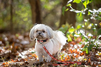 Pets First NHL Chicago Blackhawks Leash for Dogs & Cats, Medium. - Walk Cute & Stylish! The Ultimate Hockey Fan Leash!, 4 ft Long x 0.62 in Width, BHK-3031-MD