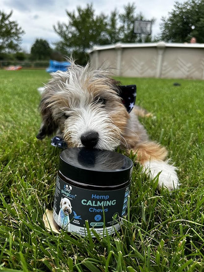 Googipet Hemp Calming Chews for Dogs - Separation Anxiety Relief for Dogs, Dog Calming Chews with Valerian Root, & Hemp, Non-Drowsy Dog Calming Treats - Helps Aid with Thunder, Shaking & Barking