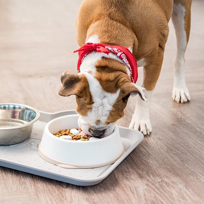 IRIS USA 4 Cups Slow Feeder Dog Bowl, Anti-Choking, Anti-Slip, Easy to Clean, Interactive Puzzle Toy, Healthy Digestion, Short snouted, Dogs Cats & Other Pets, BPA, PVC, Phthalate Free, White/Beige