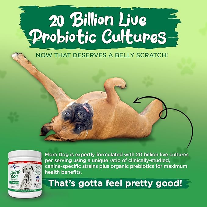 Vital Planet - Flora Dog Probiotic Powder Supplement with 20 Billion Cultures and 10 Strains, High Potency Immune and Digestive Support Probiotics for Dogs, 7.84 oz., 222 grams, 60 Servings