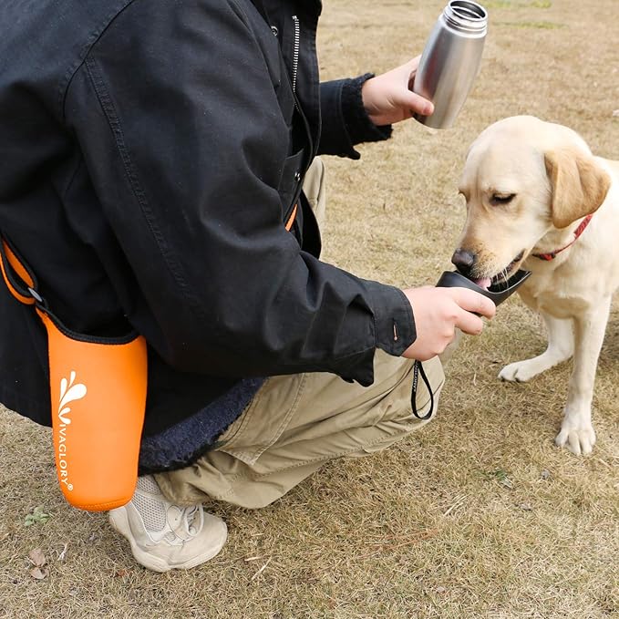 VIVAGLORY 25oz Stainless Steel Water Bottle & Neoprene Bottle Carrier Combo, Dog Drinking Bottles and Water Bottle Holder, Great for Hiking & Traveling with Pets