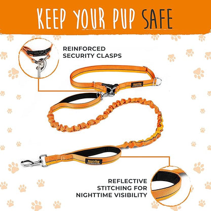 Mighty Paw Hands Free Dog Leash | Bungee Waist Leash for Dog Walking. Dog Running Leash Hands Free. Hands Free Leash for Large Dogs, Medium & Small Dogs. Dog Leash Waist Belt (36" - 48") Up To 150 lbs