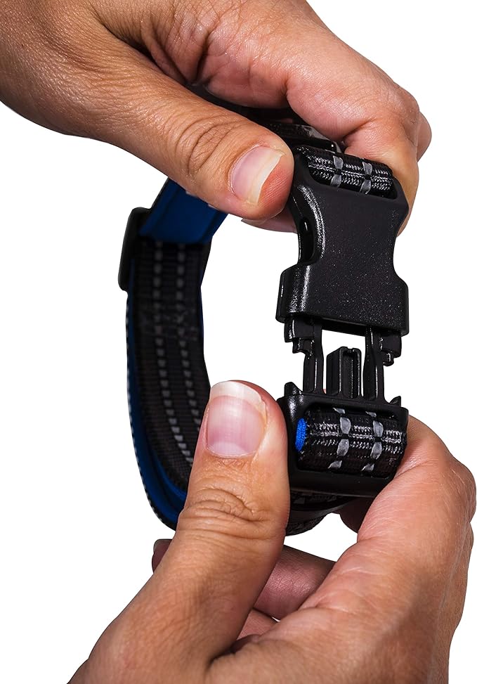 Nylon Dog Collar – Reflective – Franklin Pet Supply Co™ – Comfort Fit – Neoprene – Adjustable – Medium – Blue025725489954