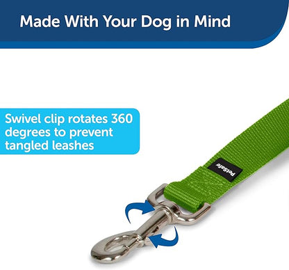 PetSafe Nylon Dog Leash - Strong, Durable, Traditional Style Leash with Easy to Use Bolt Snap - 1 in. x 6 ft., Apple Green