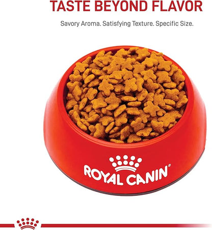 Royal Canin Small Adult 8+ Dry Dog Food, 13 lb bag