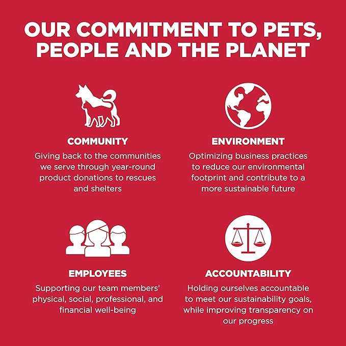 GO! SOLUTIONS Skin + Coat Care - Dry Dog Food, 12 lb - Lamb Recipe with Grains for All Life Stages - Complete + Balanced Nutrition for Dogs