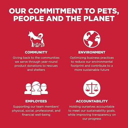 GO! SOLUTIONS Skin + Coat Care - Dry Dog Food, 12 lb - Lamb Recipe with Grains for All Life Stages - Complete + Balanced Nutrition for Dogs