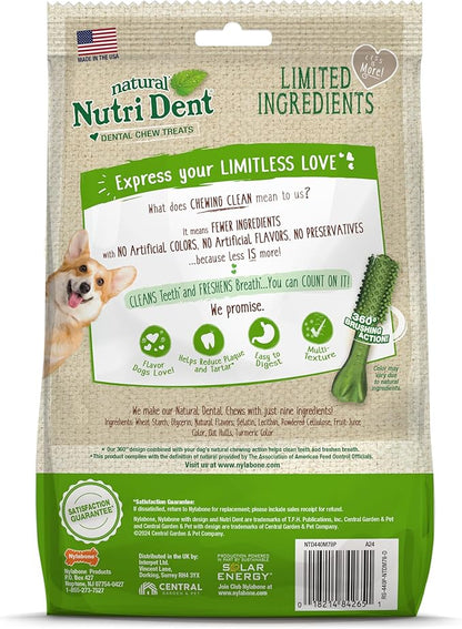 Nylabone Nutri Dent Dog Dental Treats - Natural Dog Teeth Cleaning & Breath Freshener - Dental Treats for Dogs - Fresh Breath Flavor, Mini (78 Count)
